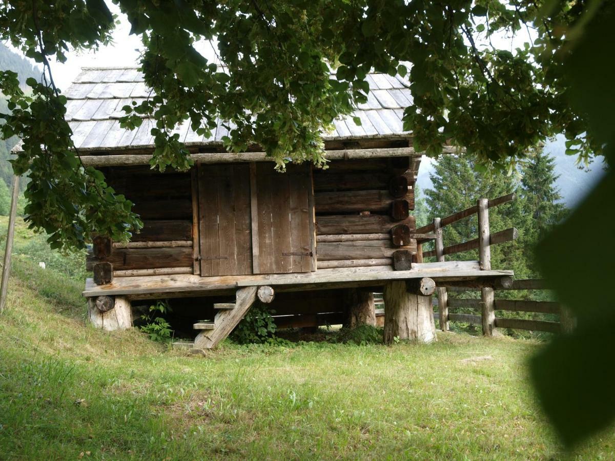 Villa Biobauernhof Spieszschweiger Sankt Nikolai im Sölktal Esterno foto